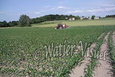0465D016