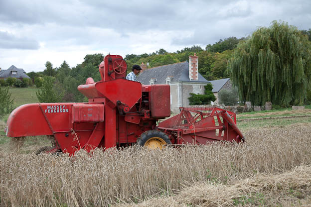 Blaison383