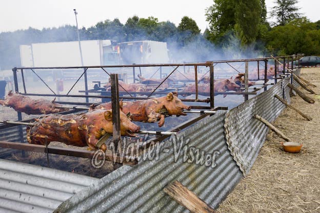 ch698