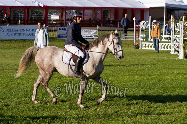 Criniere259