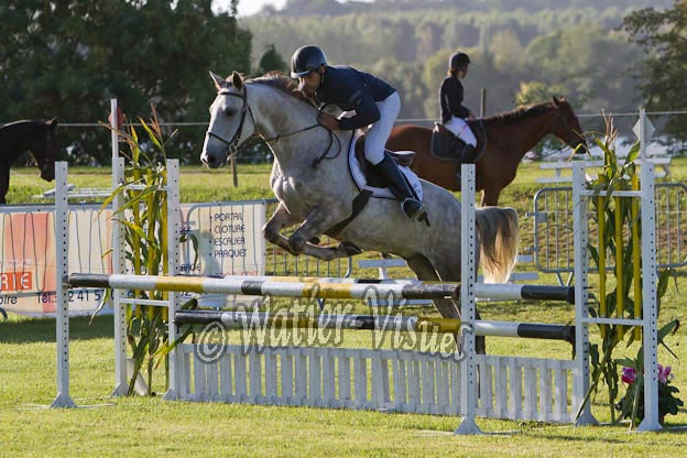 Criniere266