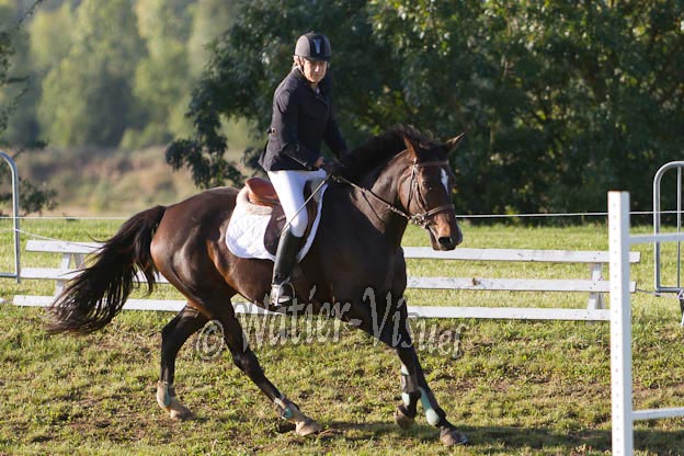 Criniere267
