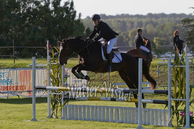 Criniere271
