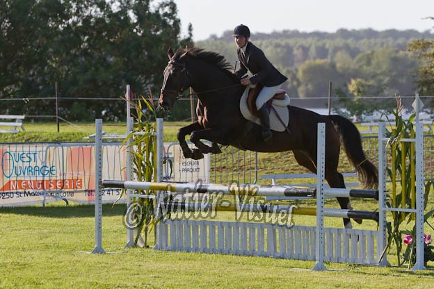 Criniere279