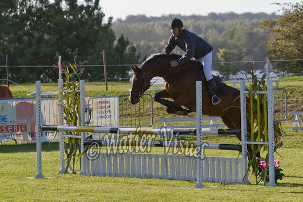 Criniere295