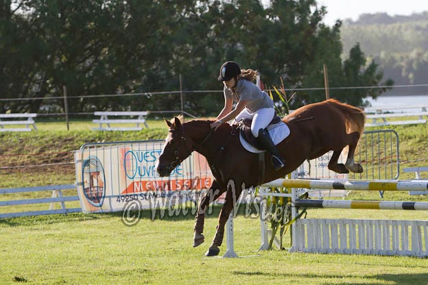 Criniere321