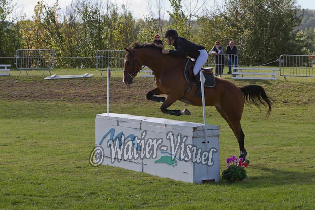 Criniere403