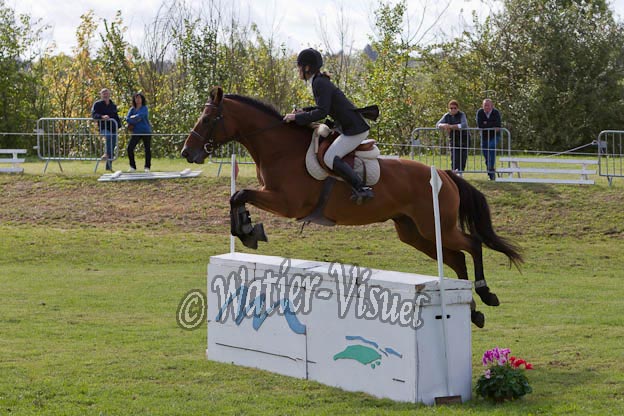 Criniere485