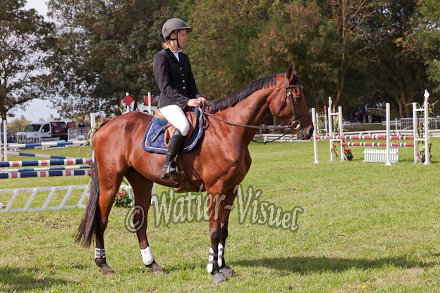 Criniere506