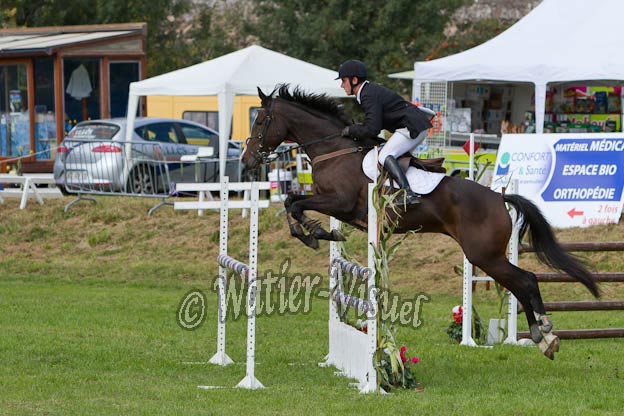 Criniere542