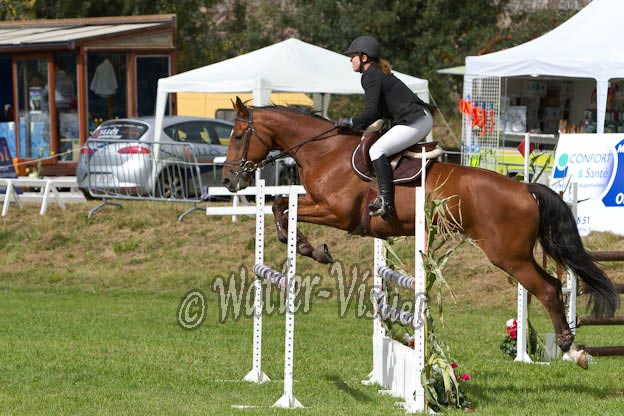 Criniere547
