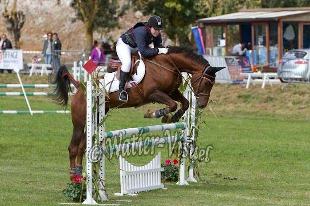 Criniere551