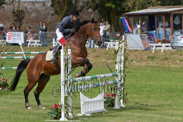 Criniere556
