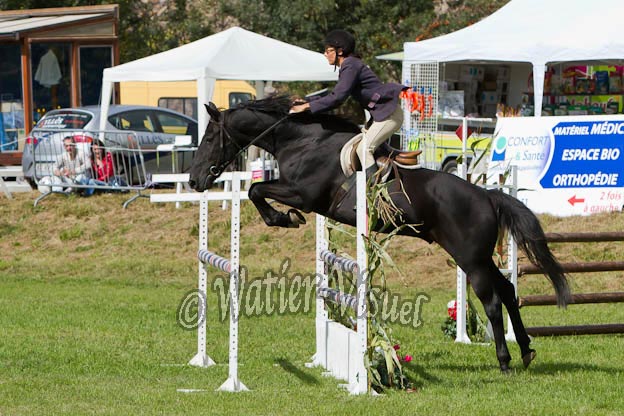 Criniere568