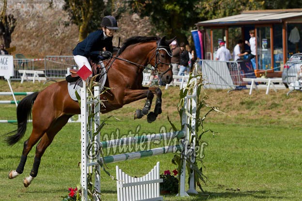 Criniere572