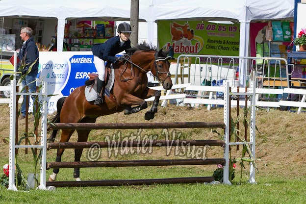 Criniere574