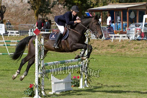 Criniere580