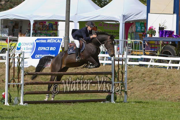 Criniere581
