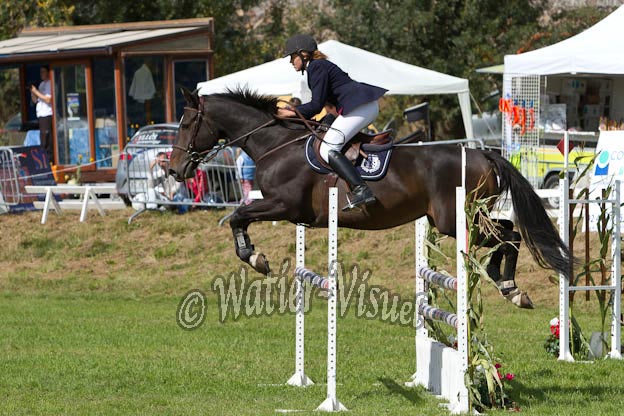 Criniere584