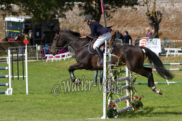 Criniere586