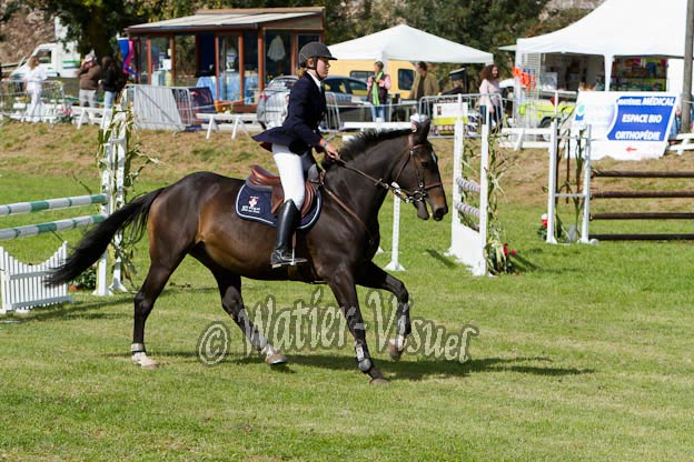 Criniere587