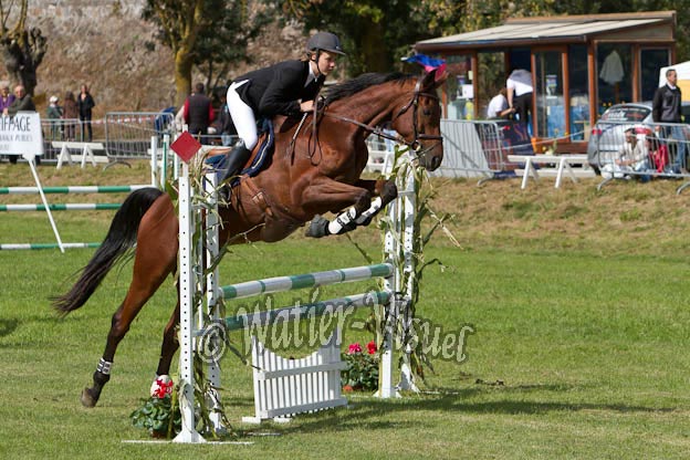 Criniere591