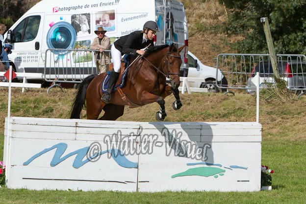 Criniere593