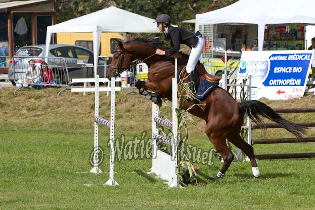 Criniere594