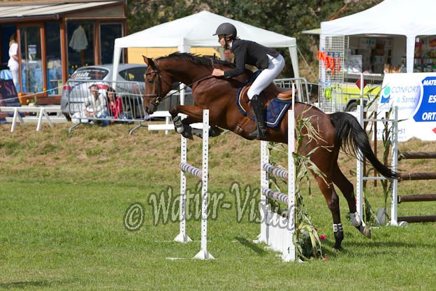 Criniere595