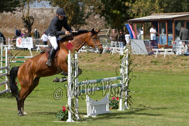 Criniere597