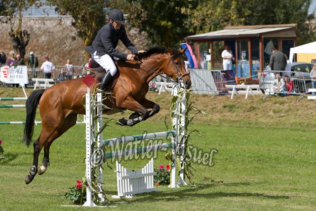 Criniere598