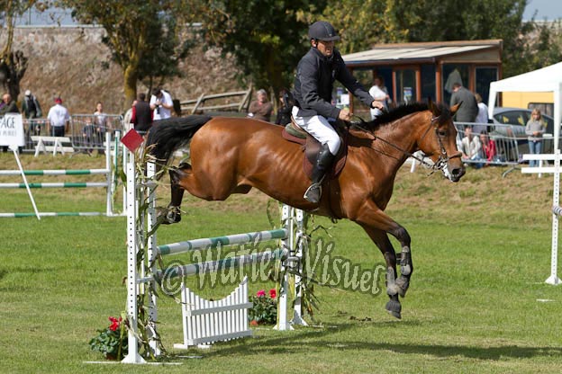 Criniere599
