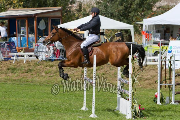 Criniere602