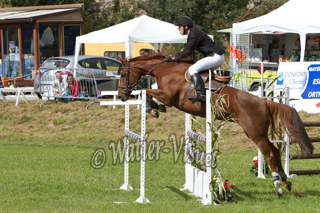 Criniere609