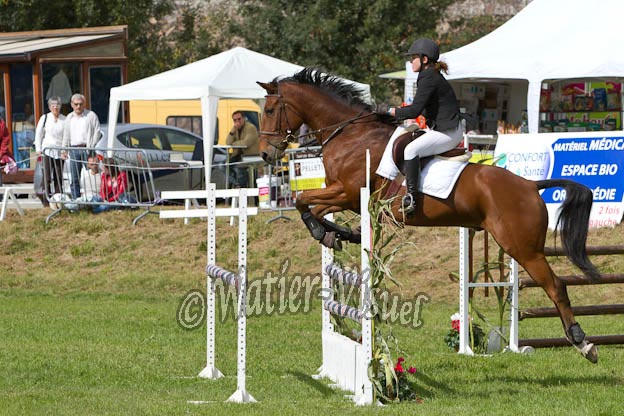 Criniere619
