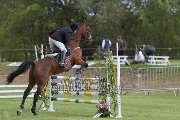 Criniere681
