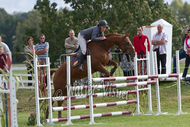 Criniere743