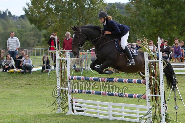 Criniere754