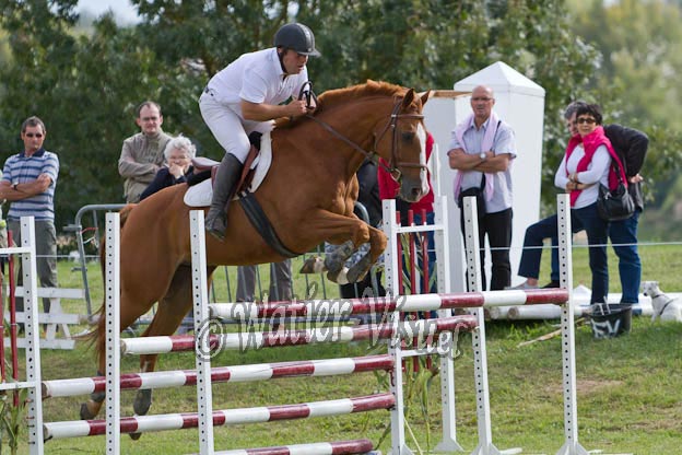 Criniere773