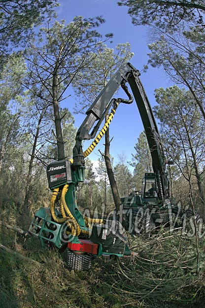 0717D038