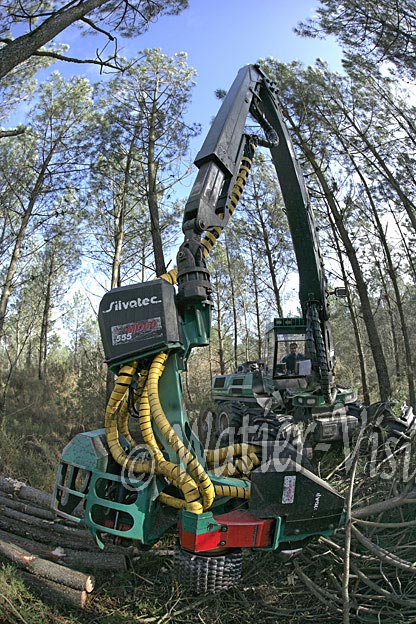 0717D049