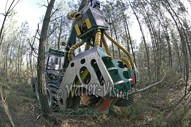 0717D068