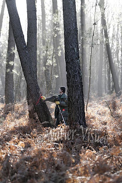 0718D015