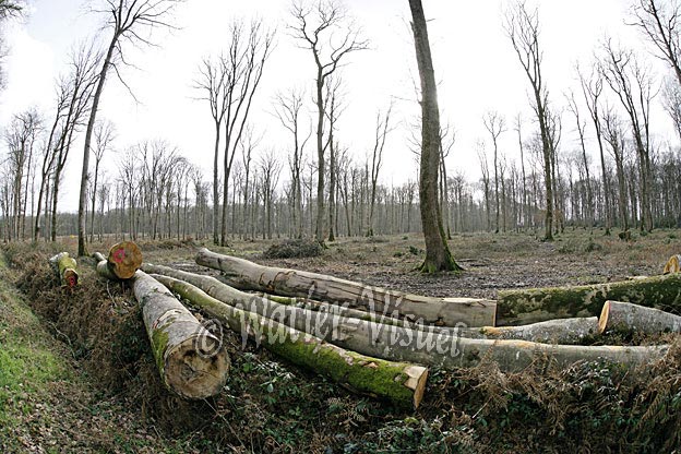 0718D172