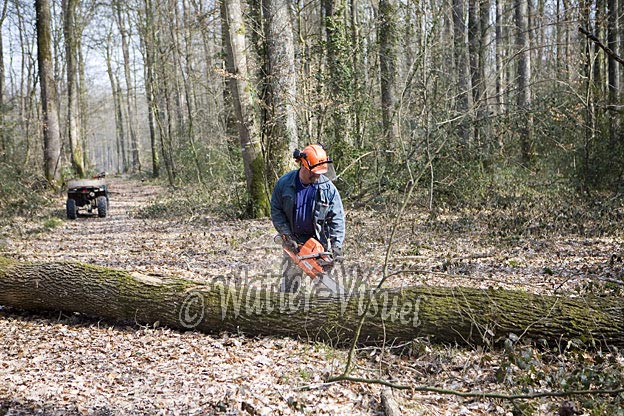 0725D074