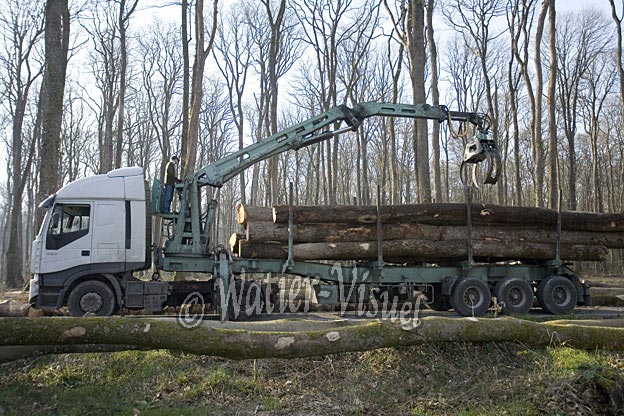 0725D208