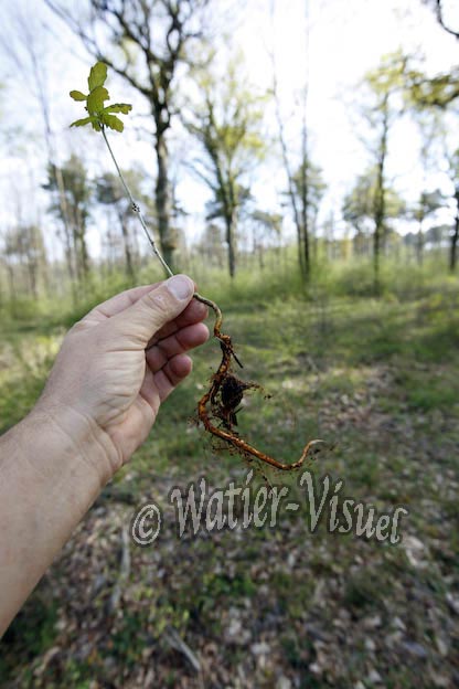 0833D210