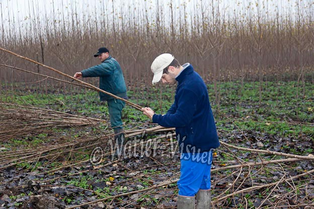 0973D033