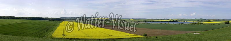 0661D007