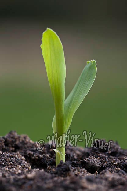 0943D089